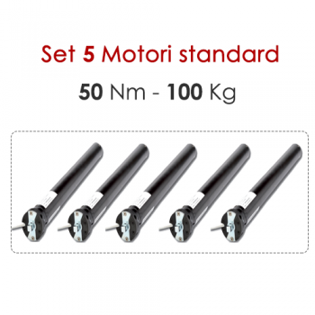 Set 5 Motori tapparelle tende 50 Nm-100kg 