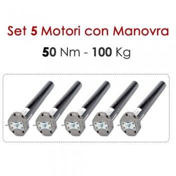 Set 5 Motori con Manovra 50 Nm | 100 Kg
