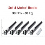 Set 5 Motori Radio - 30 Nm | 60 Kg