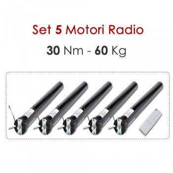 Set 5 Motori Radio - 30 Nm | 60 Kg
