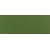12 - Verde Oliva RAL 6011