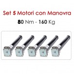 Set 5 Motori con Manovra - 80 Nm | 160 Kg Set 5 Motori con Manovra - 80 Nm | 160 Kg