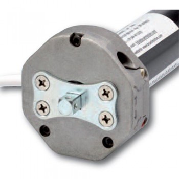 Motore con manovra - 30 Nm | 60 Kg